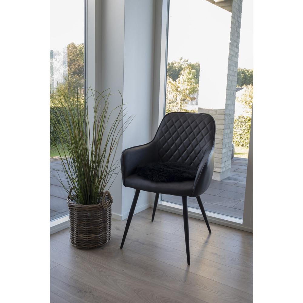 New Zealandsk Lammeskindshynde - Sort 35 cm - Hofstra & Wagner